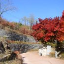 해맞이도서관 이미지