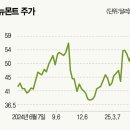 미장 이미지
