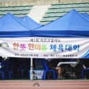아르코발레노 이미지