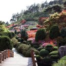 숲쟁이로 이미지