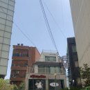 네일더영 이미지
