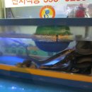 가르텐비어금정점 이미지