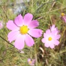 LF양산공장아울렛