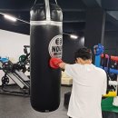 정일복싱 이미지