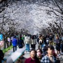 임진적벽길 이미지