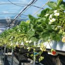 진주산소 이미지