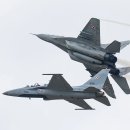 폴란드 FA-50과 MIG29 같이 비행 이미지