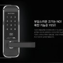 목련헤어라인 네이버블로그