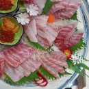 돔수산초밥 이미지