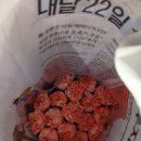 무지개종합상가 | [서울/서초] 2026년 5월 2일 방문한 고속버스터미널 꽃도매상가 후기(카네이션 가격 정보有)