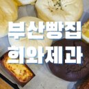 제이세이렌 이미지