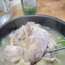 동강염소 이미지