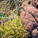 살랑제주 이미지