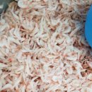 광천 토굴새우젖 맛집 혜진네 토굴새우젓 후기