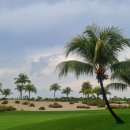 마이골프(MY GOLF) 이미지