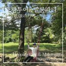 블랙펄호텔 | 보라카이 여행 호핑투어 말룸파티 내돈내산 블랙펄호핑 보라카이션 후기