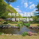 마차초등학교병설유치원 이미지