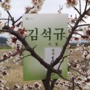 포토에세이 [낙동강의 기억] 이미지