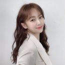 드라포레 이미지