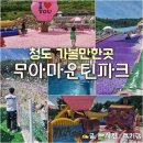 대구근교 아이와 가볼만한 청도핑크모래 놀거리 가득 무아마운틴파크