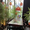 자연속에 고기세상 이미지