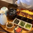 대덕카센타 | [대전/맛집] 여름보양식 장어덮밥 월평동 맛집 우나기칸 대전본점 후기