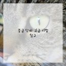 기초 유화 이미지