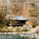 구시장골 이미지