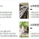 (주)건축사사무소 모아 이미지