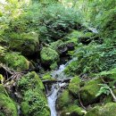 곰배령황토펜션 | 삼봉약수 (사삼봉-가칠봉-응복산) 환종주 산행후기