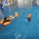 온양온천랜드 | 온양온천랜드 방문 후기 – 아이 셋과 즐긴 완벽한 물놀이 하루!