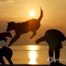 마곡태양공인중개사사무소 이미지