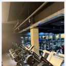 파트너짐 | 강남 파트너짐 방문 후기 제대로 된 운동을 원한다면 이곳이 정답입니다