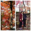 (주)대륙 이미지