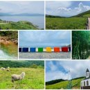 아원목장 이미지