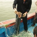 바다펜션 이미지