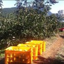 김순재농장 이미지