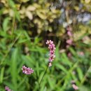 미스터홈즈부동산중개수원화서센터 이미지