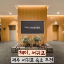 (주)세진 | 아이랑 제주 여행 서귀포 가성비 숙소 헤이,서귀포 디럭스트윈 내돈내산 후기