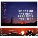 소동연가갤러리 | 공간. 갤러리 예술섬 그리고 거제도 감성 숙소 [[ 소동연가 ]]에서 휴식하고. 마음힐링 하고 조용히...