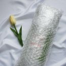 심플리센트