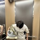 슈기몰