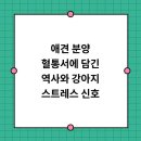 더펫 강아지분양 고양이분양 일산본점 이미지