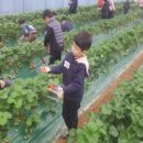 여가농장 이미지