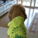 모월1호 이미지