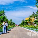 국화황토공원 이미지