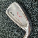 아이언 플렉스(IRON FLEX) 이미지