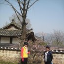 20110410 남도여행3 이미지