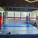 와일드복싱짐 안양관 이미지