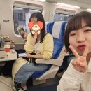 다이어트 샤따 내립니다, 1박 2일 강릉 여행 (1) : 강릉역옹막, 시만차, 소품샵투어, 벚꽃투어(경포...